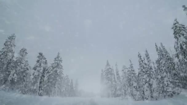 Dirigindo em uma estrada de inverno vazia e nevasca — Vídeo de Stock