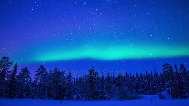 Northern Lights over the Winter Forest (en inglés). Tiempo de caducidad — Vídeo de stock