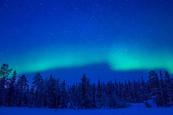 Northern Lights over the Winter Forest — Stock Photo, Image