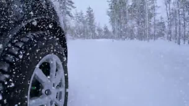 Queda de neve e condução na estrada da floresta de inverno — Vídeo de Stock