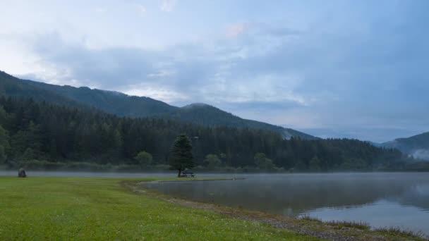 Morgondimman över sjön skog. Tidsfördröjning — Stockvideo