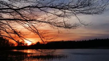 Orman göl günbatımı