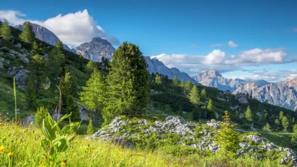 Alpenbloemen en wolken over de bergen. Time-lapse — Stockvideo