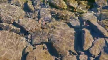 Su taşları Video arka plan