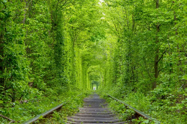 緑の鉄道トンネル — ストック写真