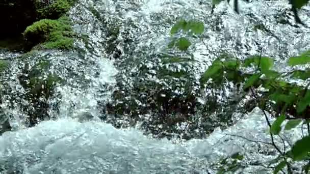 Stormy River Stream. Slow Motion — Stock Video