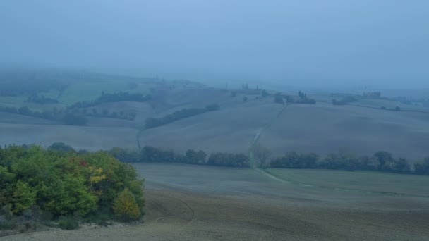 Sehr dichter Nebel über den Herbstfeldern. Zeitraffer — Stockvideo