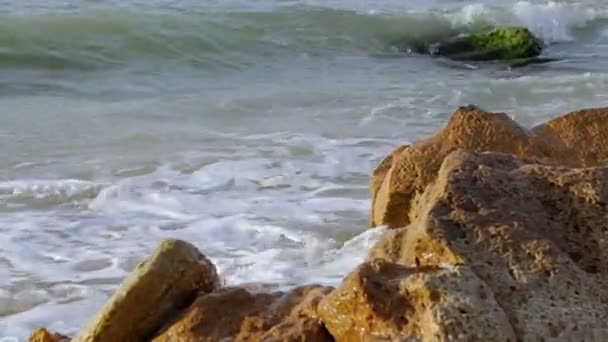 Sea Surf på stenig strand — Stockvideo