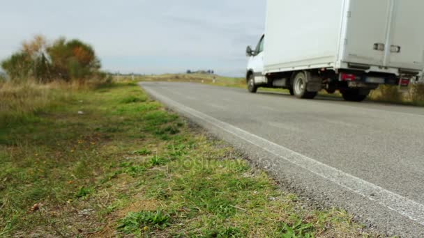 Kamion na silnici venkovské letní — Stock video
