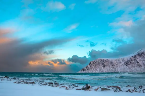 Téli Norvégia. Tengeri Surf és a madár a hullámok felett — Stock Fotó