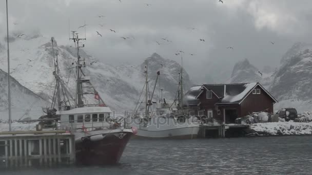 Fiskebåtar och Blizzard. Slow Motion — Stockvideo