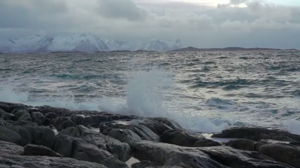 Surfa på bakgrunden av Snowy Mountains. Slow Motion — Stockvideo