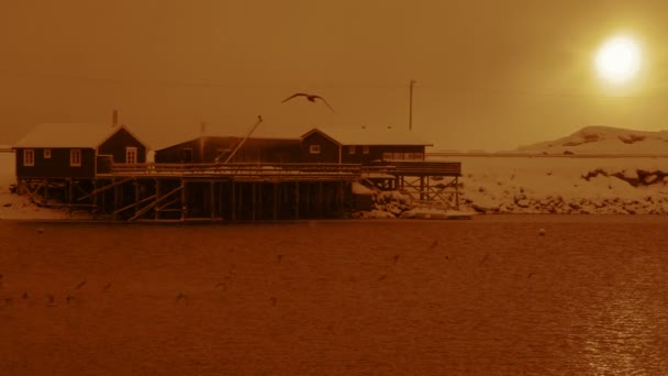 Winter Evening Pier and Seagulls. Slow Motion — Stock Video