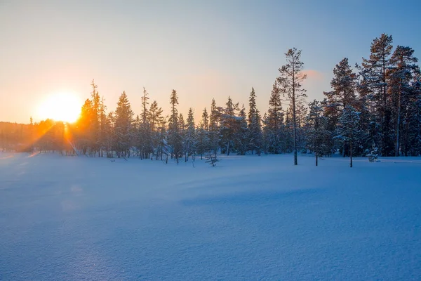 Kış orman üzerinde gün batımında güneş — Stok fotoğraf