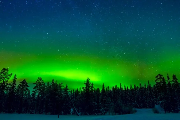 Heldere Noorderlicht boven de Winter Forest — Stockfoto