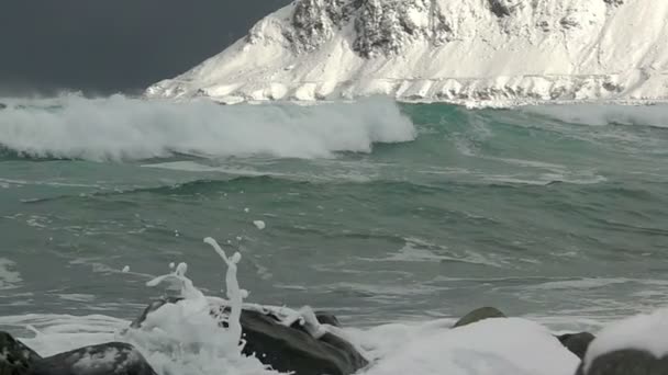 Körfez'de kış Surf dalgası. Ağır çekim — Stok video