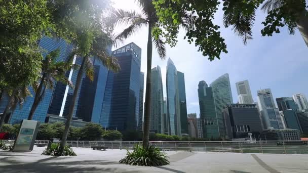 Singapore Palmer Och Andra Träd Vid Havet Den Marina Bay — Stockvideo