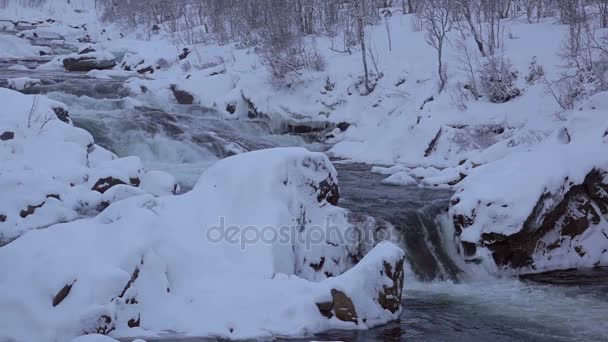 森の中の冬の夜 雪の中で凍結されていないフロー Sloq モーションとシームレスなループ — ストック動画