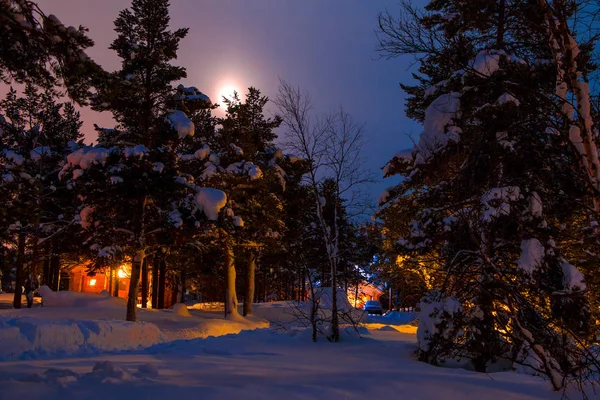 숲에서 야영 하는 겨울 동안 문 — 스톡 사진