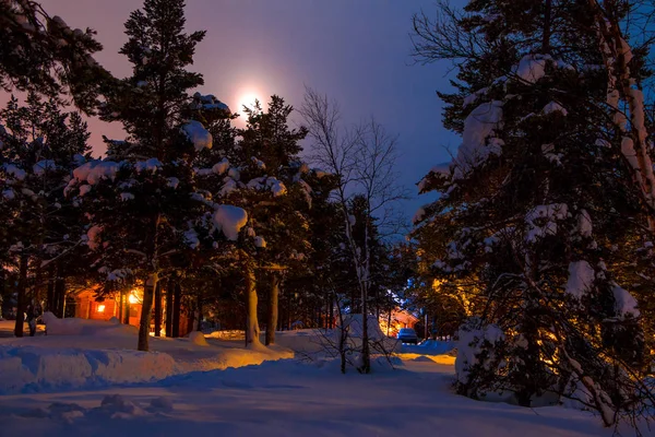 Ormanda kamp kış üzerinden moon