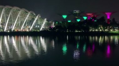 Gece Singapore. Çiçek kubbe ve Supertree Grove görünümünü. Işık ve müzik gösterisi. Hızlı hareket. Sorunsuz döngü