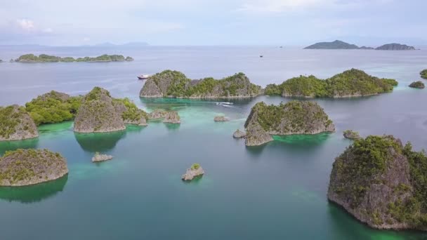 インドネシアのジャングルの生い茂った小さな島 紺碧の水のボート 航空写真ビュー — ストック動画