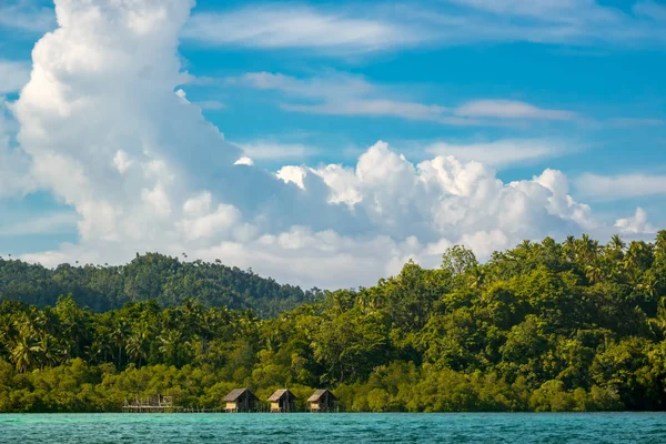 Bir yağmur ormanı ile tropikal kıyı ile Stilts üzerinde üç kulübe