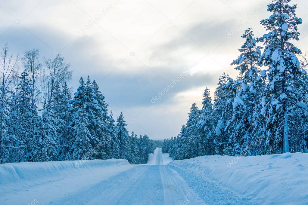 Empty Road in Winter Finnish Forest