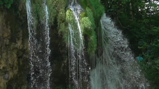 Dichter Sommerwald Auf Einer Klippe Die Ströme Des Wasserfalls Werden — Stockvideo