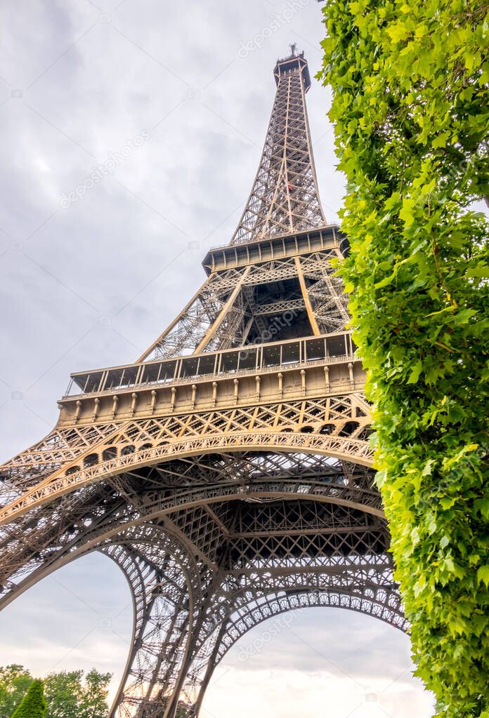 France, Paris. Cloudy summer day. Bottom view of the Eiffel Tower and green tree