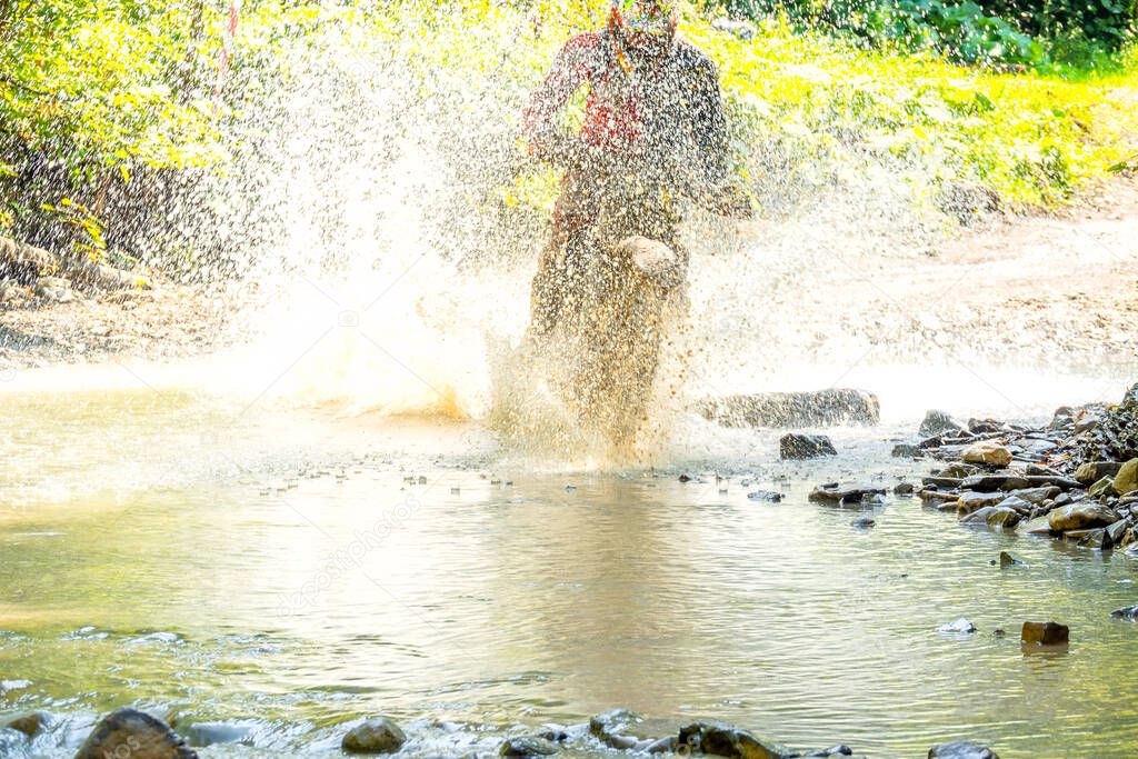 Summer sunny day. A lot of water spray hides athlete enduro when he overcomes a forest stream