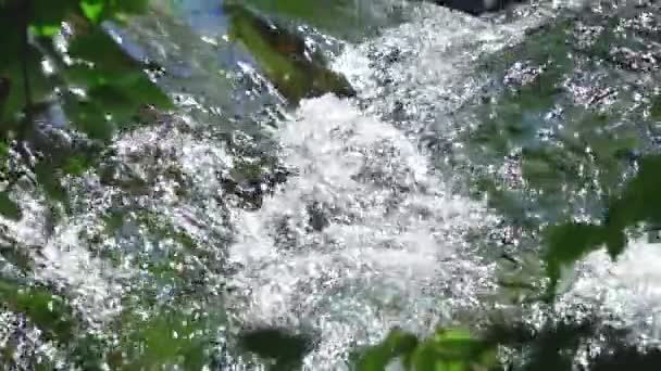 Summer Sunny Day Stormy River Stream Seething Sparkling Sun Slow — Stock Video