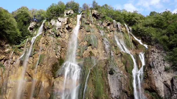 Pedra Floresta Dia Verão Muita Corrente Cachoeira Movimento Lento — Vídeo de Stock