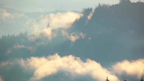 Wooded Hills Early Morning First Rays Sun Illuminate Waves Fog — Stock Video