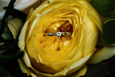 Sarı bir gül ve nişan yüzüğünü kapat.