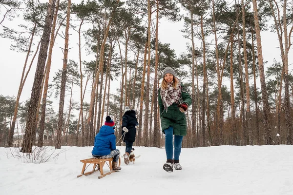 Emocionální Rodina Zimní Focení Jackem Russellem — Stock fotografie