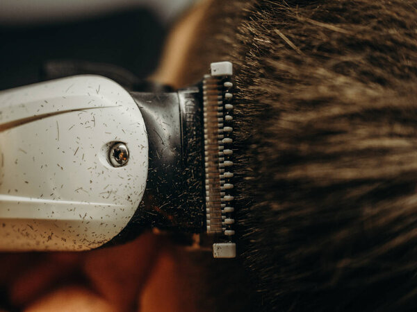 Men's hairstyling and haircutting with hair clipper in a barber shop