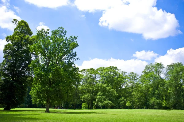 Yazın huzurlu bir park