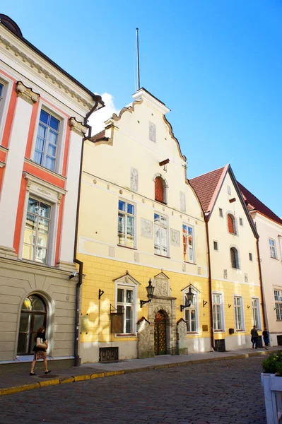 Cobblestone Street Estonia Quaint Capital Talinn — стоковое фото