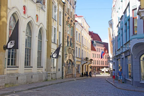 Cobblestone Street Estonia Quaint Capital Talinn — стоковое фото