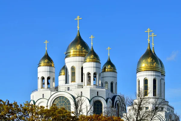 Τους τρούλους της εκκλησίας του Σωτήρος Χριστού. Καλίνινγκραντ, Ρωσία — Φωτογραφία Αρχείου