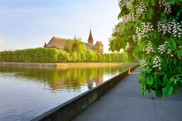 Kneiphof adada Königsberg Katedrali. Kaliningrad, eski K — Stok fotoğraf