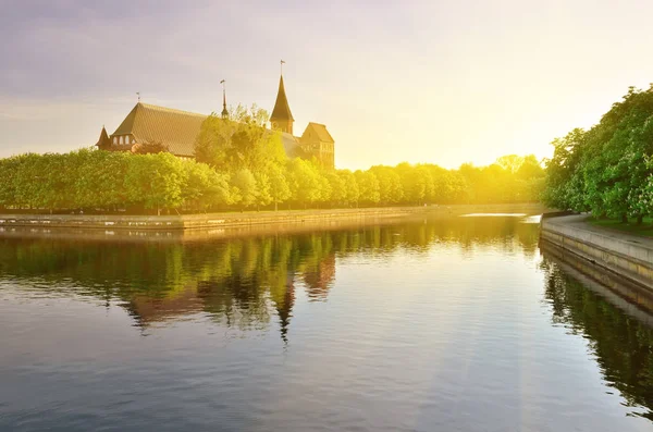 Kathedrale von Königsberg an einem Sommerabend. kaliningrad, ehem. Königsberg, russland — Stockfoto