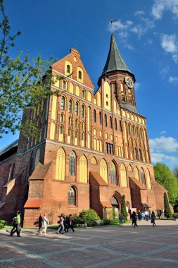 Kneiphof adada Koenigsberg Katedrali. Kaliningrad, fo