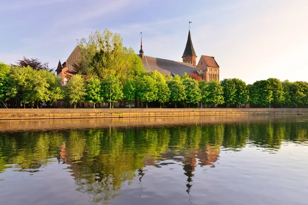 Katedrála v Königsbergu za letního večera. Kaliningrad, dříve Königsbergu, Rusko — Stock fotografie
