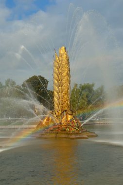 Moskova, Rusya - 12 Ağustos 2019: Moskova 'daki Vdnh' de Altın Çeşme