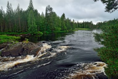 Ohta nehrinin güzel Kiviristi eşiği. Karelia, Rusya