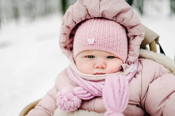 Cute Little Girl Siedzi Saniach Podczas Spaceru Parku Zimowym — Zdjęcie stockowe