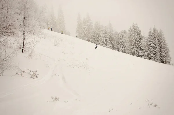 Frau Mit Brille Auf Skiern Auf Schnee Den Schneebedeckten Karpaten — Stockfoto