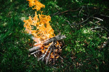 Doğada kamp ateşi
